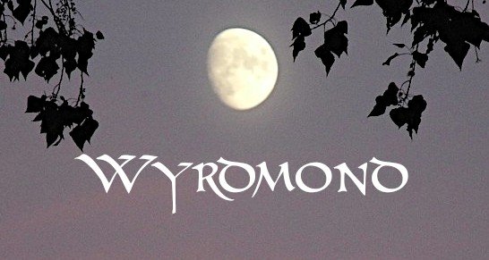 Wyrdmond Mond Jahreslauf Naturverbindung Naturbegleitungen Runen Schwellengang Netz des Wyrd Mondkreis